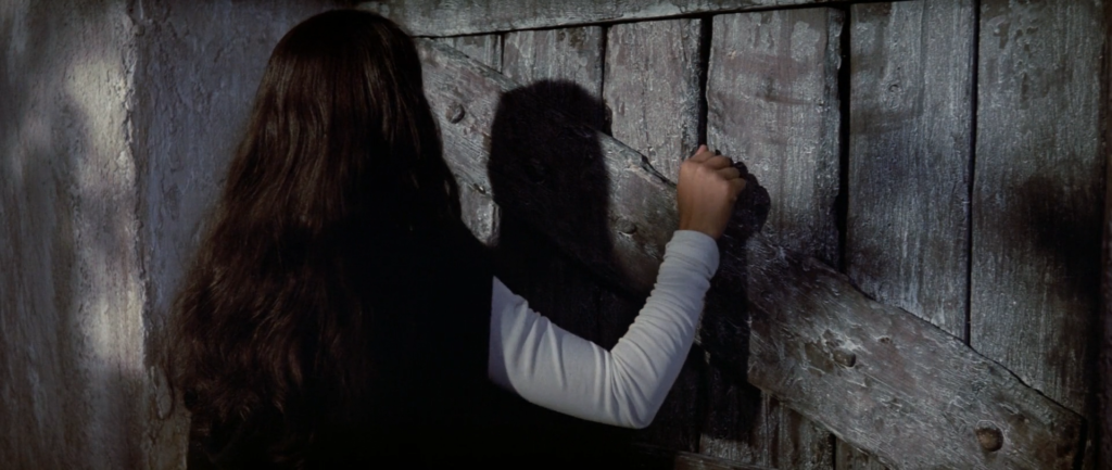 Rei Dos Reis 1 1024x433