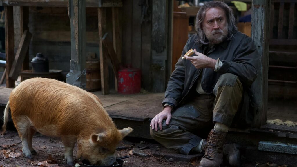 pig